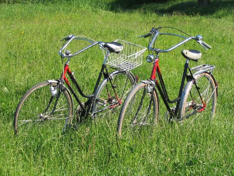 Recycling Bike im Grünen